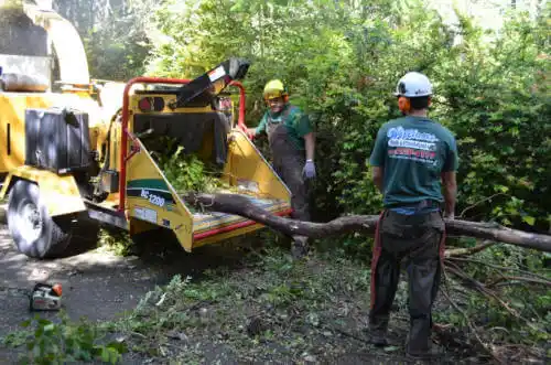 tree services Tyrone